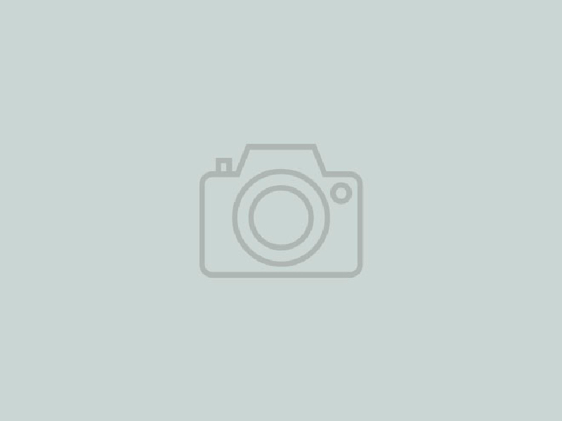 Лиственница Кемпфера (японская, тонкочешуйчатая)/Larix Kaempferi