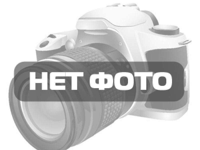 Яблоня Китайка Золотая Ранняя (летняя) С5