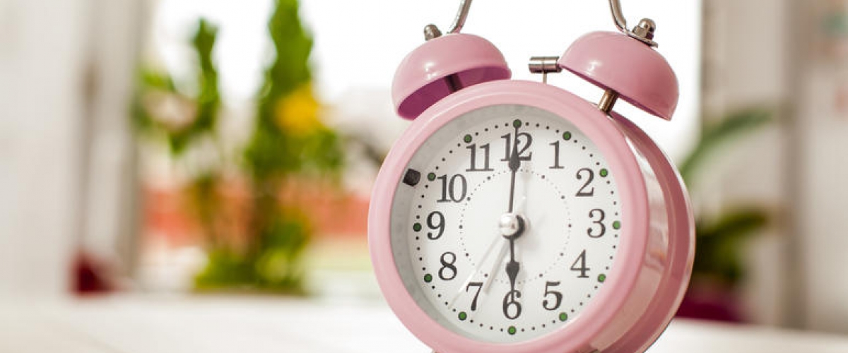 Новый график работы садового центра 